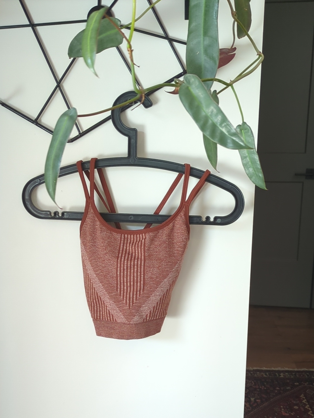 Smartwool Ribbed Sports Bra- Rust
